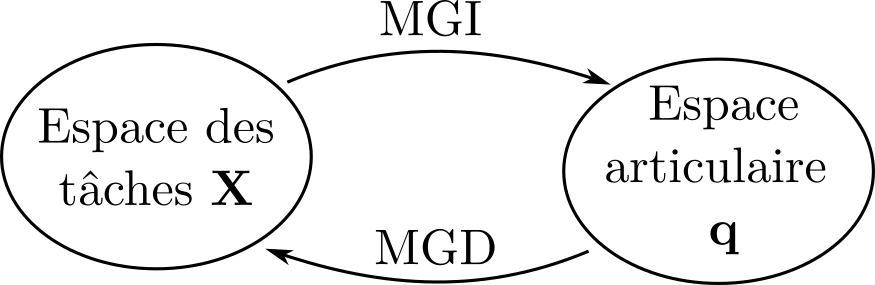 ../_images/MGD_MGI.png